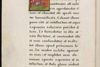 Christ Church, ma 101 7v