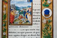 Fig.1a - Epistle Lectionary, Christ Church MS 101, fol.29r