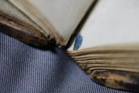 Detail of the binding of Magdalen ms lat 223